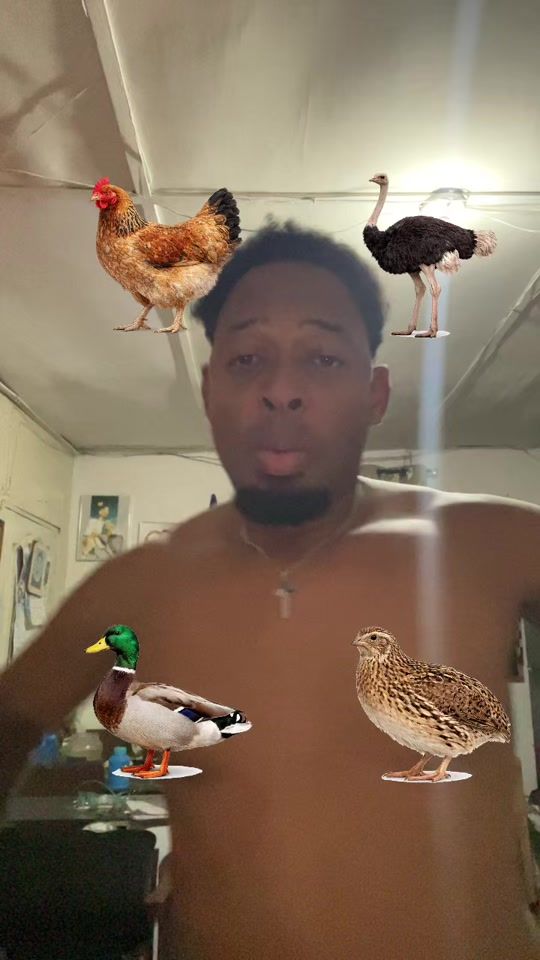 TikTok video thumbnail by lamueca4242