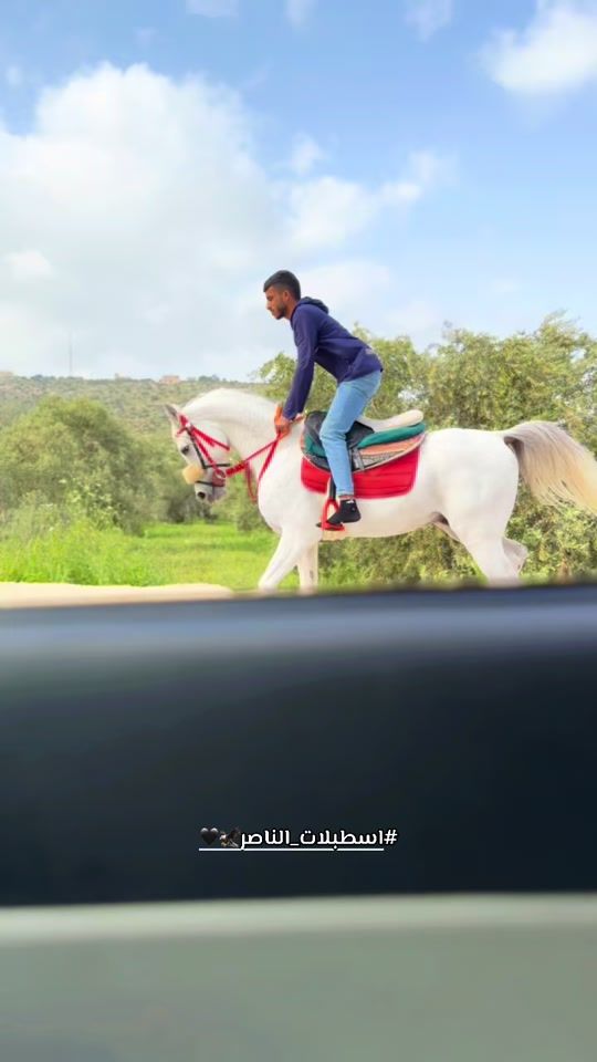 TikTok video thumbnail by .al.nasser.stables_