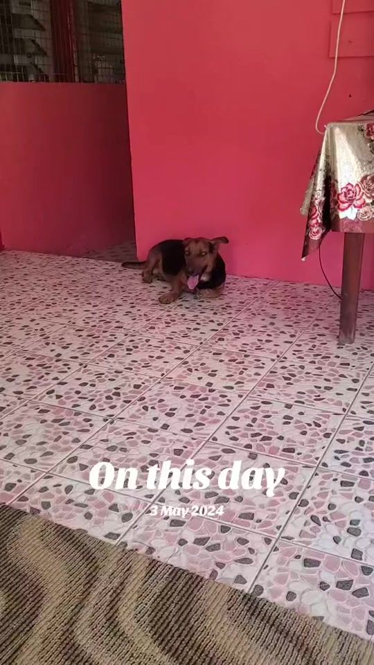 TikTok video thumbnail by ashwinnarayan56