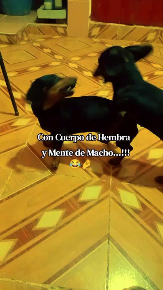 TikTok video thumbnail by ivi_sol04