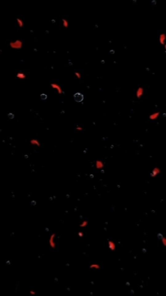 TikTok video thumbnail by abdelahagadir5