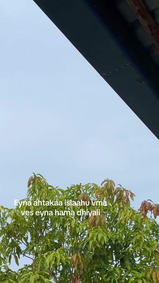 TikTok video thumbnail by maaxbullo
