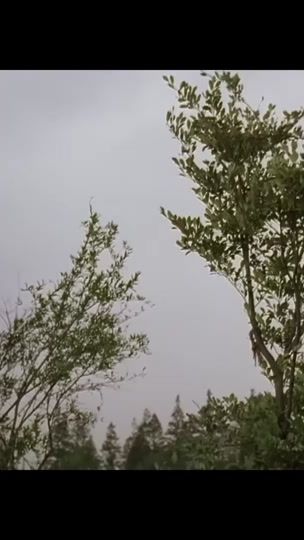 TikTok video thumbnail by morimorrix