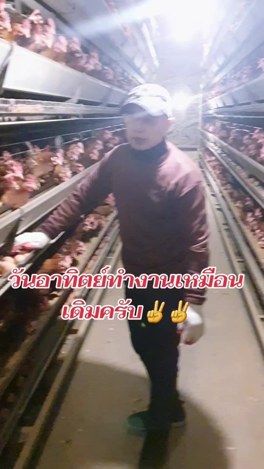 TikTok video thumbnail by user7793803913501pong