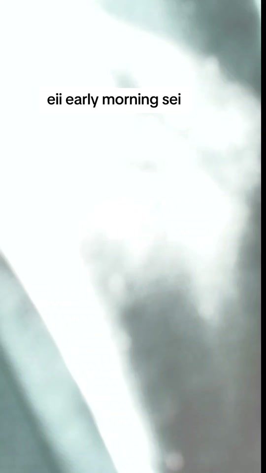 TikTok video thumbnail by thelegendaryprof