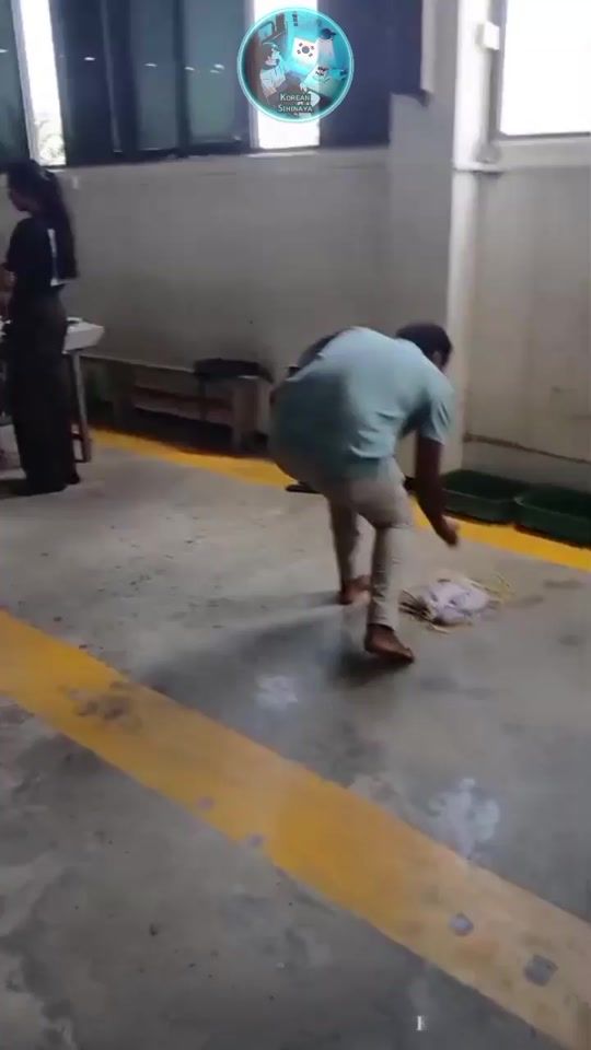 TikTok video thumbnail by korean__sihinaya