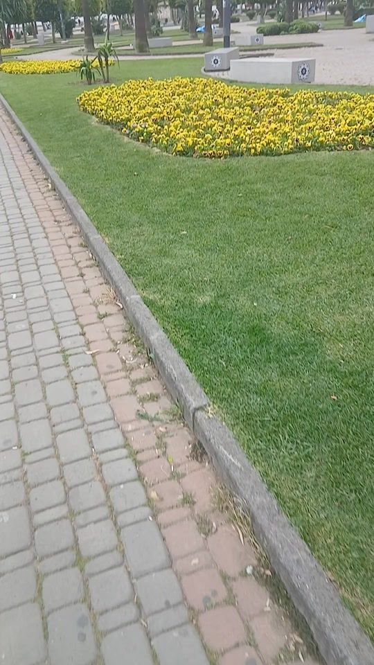 TikTok video thumbnail by amazzanll