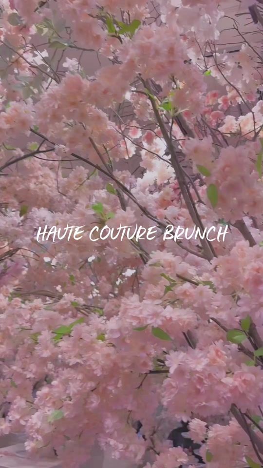 TikTok video thumbnail by yu_hamu