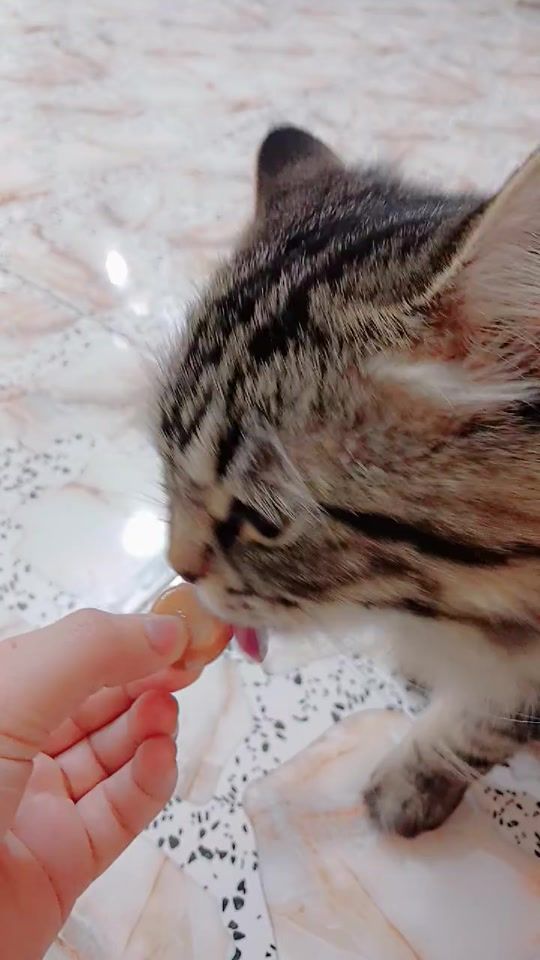 TikTok video thumbnail by b0iz0