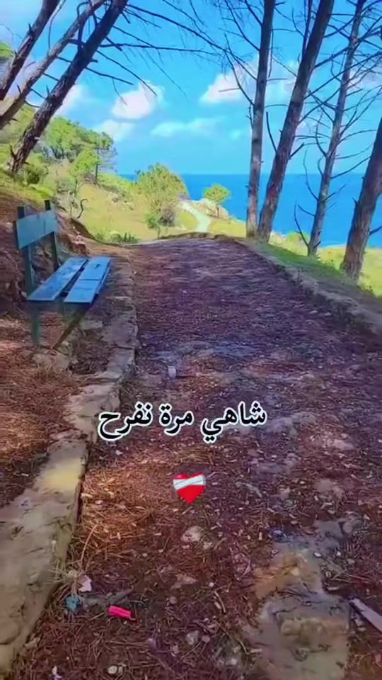 TikTok video thumbnail by alae.tounsi