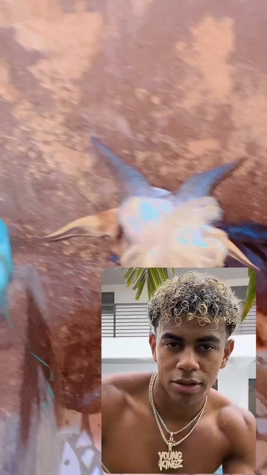 TikTok video thumbnail by snap_guadiawaye1
