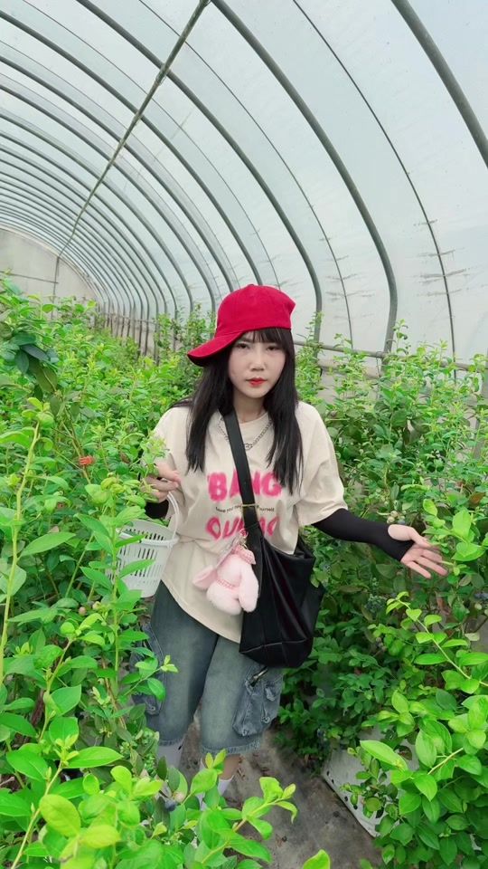 TikTok video thumbnail by meocon54024