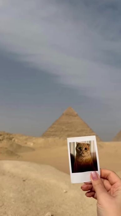 TikTok video thumbnail by shanscat