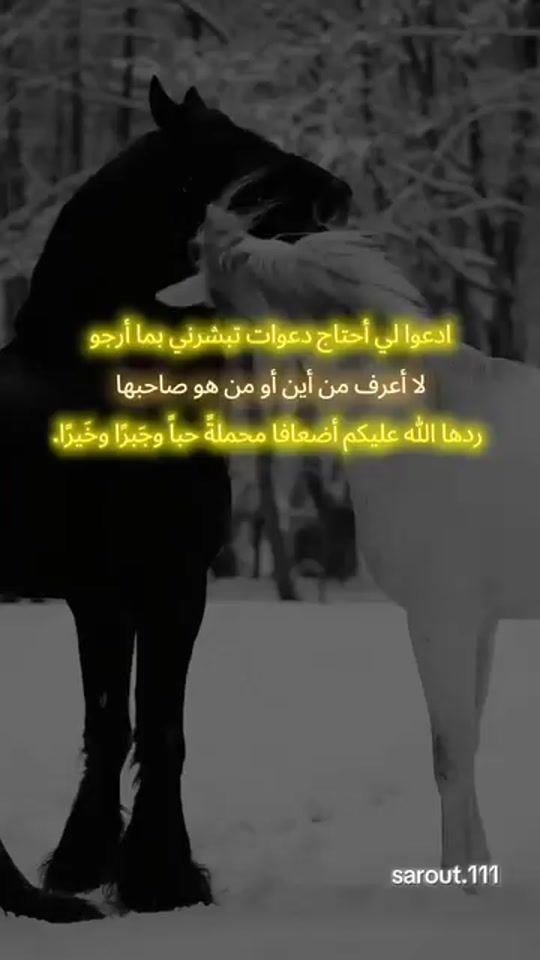 TikTok video thumbnail by afteranother2