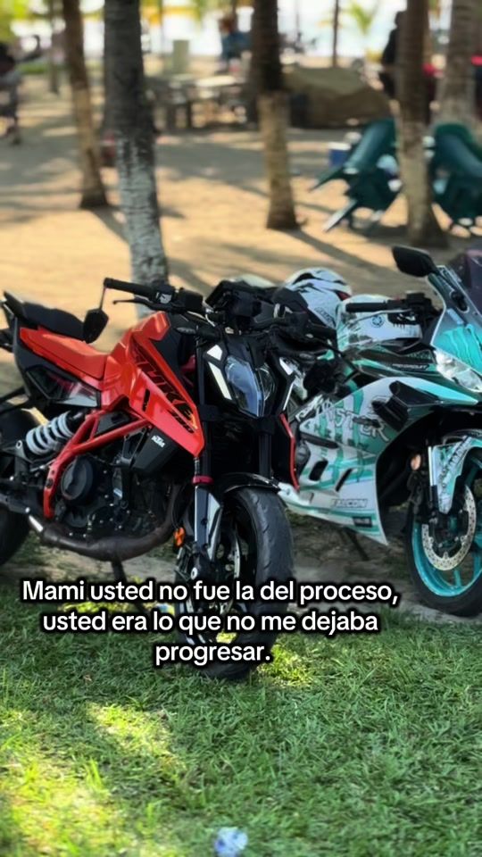 TikTok video thumbnail by orellana_bicho.man