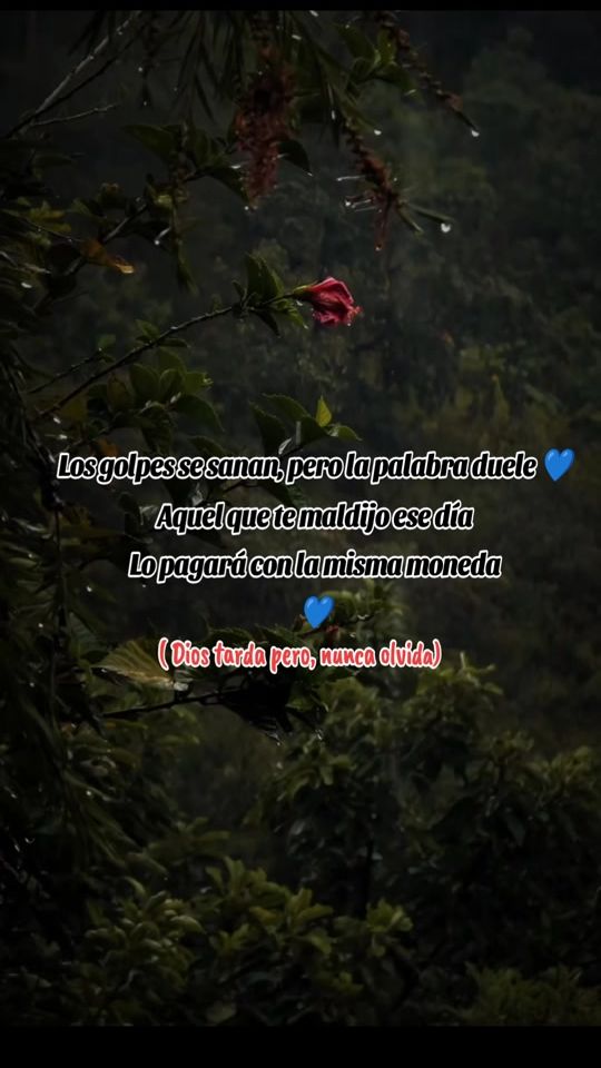 TikTok video thumbnail by _593jc