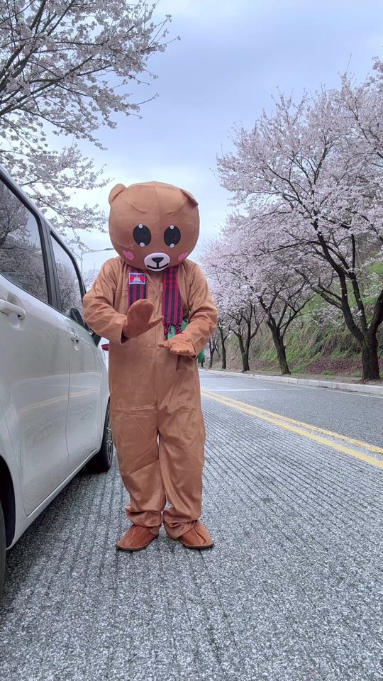 TikTok video thumbnail by pandaai031