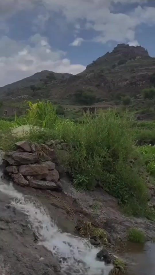 TikTok video thumbnail by to655hl