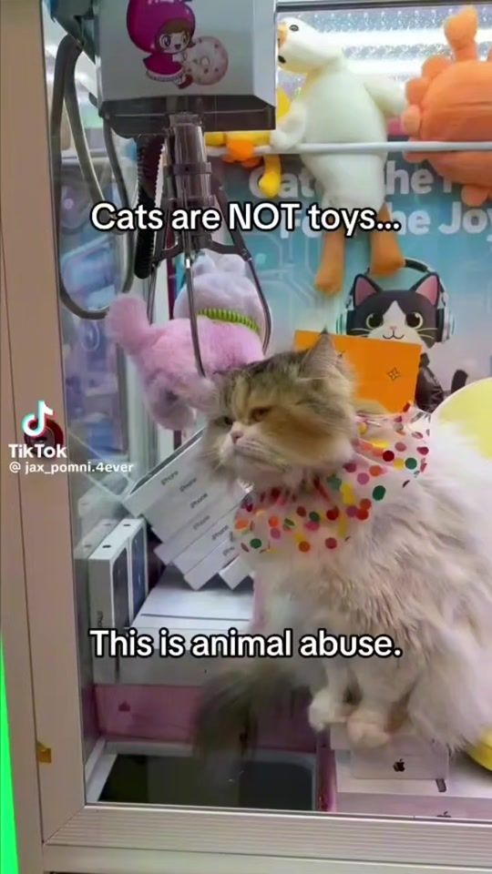 TikTok video thumbnail by themfnamedsunny