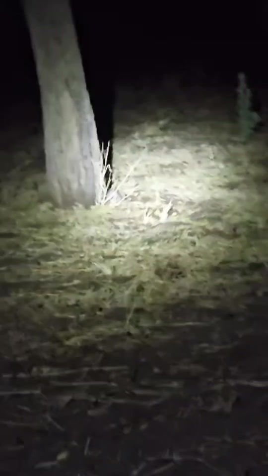TikTok video thumbnail by musllam404