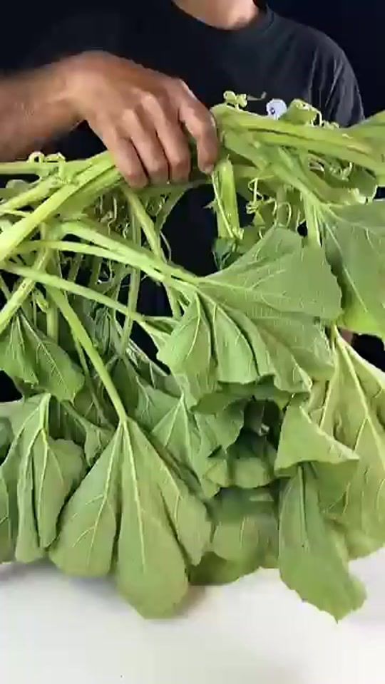 TikTok video thumbnail by siambiswas181
