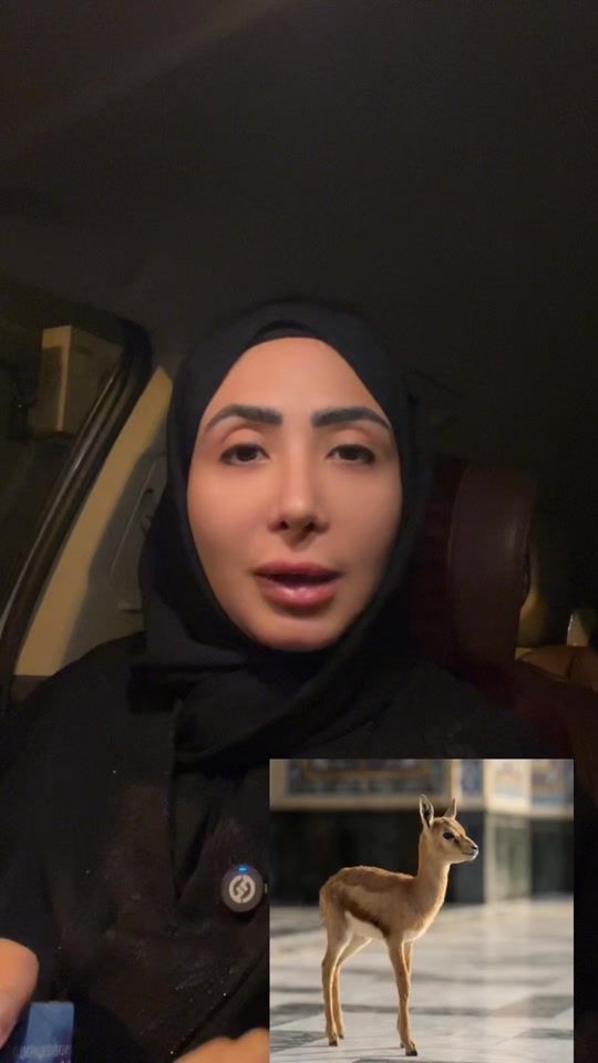 TikTok video thumbnail by fate.haroon
