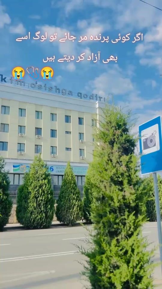 TikTok video thumbnail by drabidmukhtarsewag