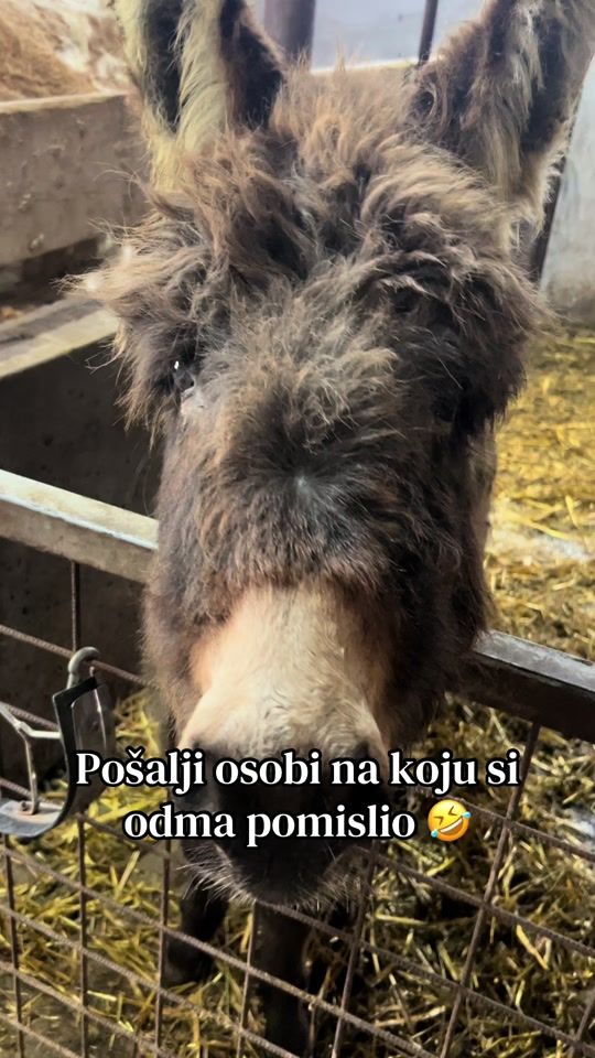 TikTok video thumbnail by lukica.536