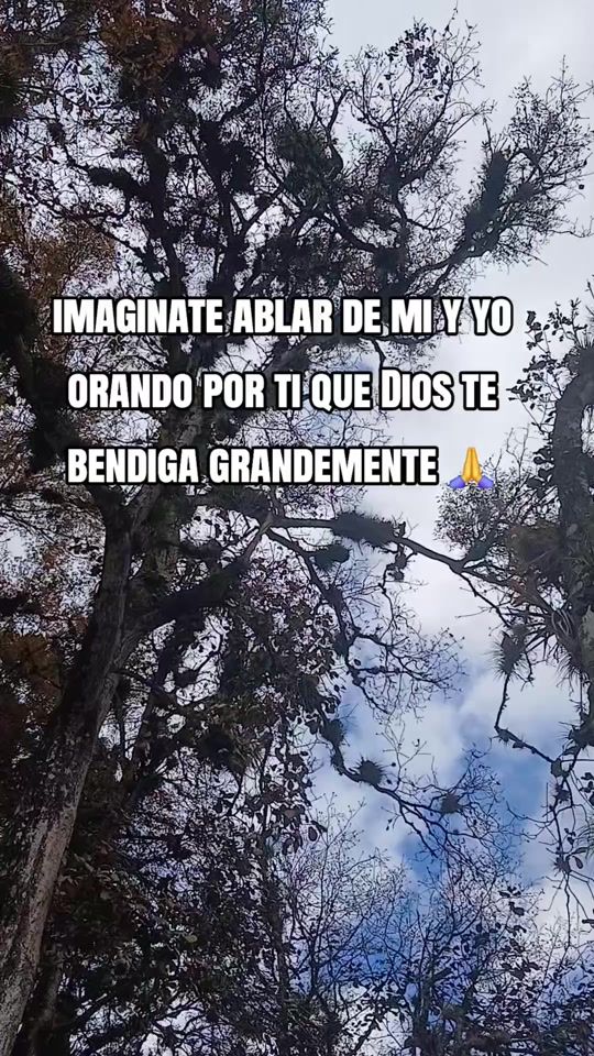 TikTok video thumbnail by diosmetraforma0