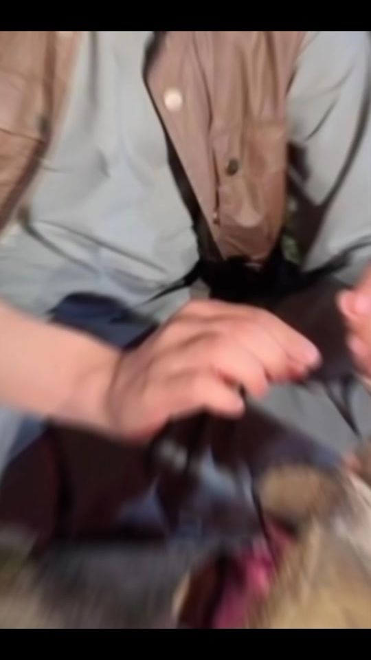 TikTok video thumbnail by muhammadbbsbb