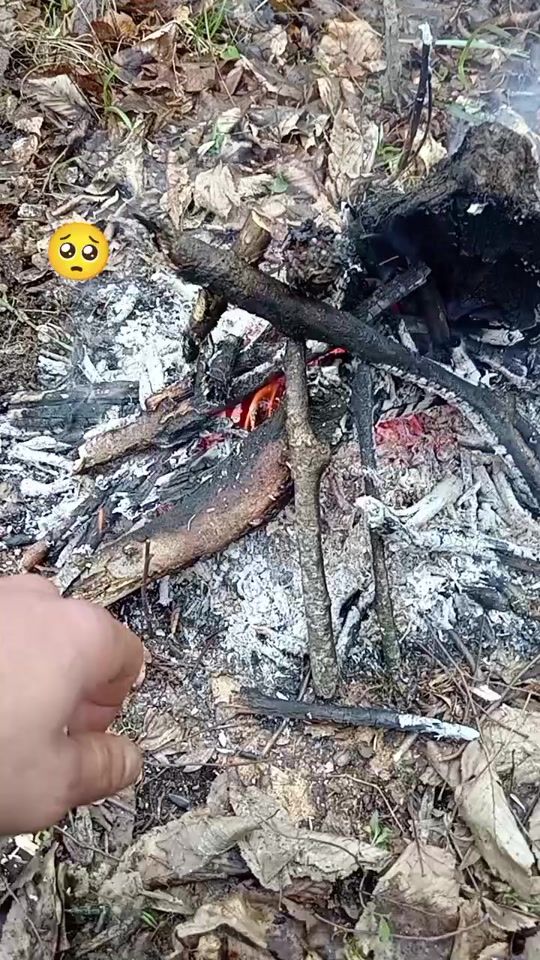 TikTok video thumbnail by _xtq44