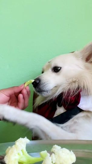 TikTok video thumbnail by puntu18