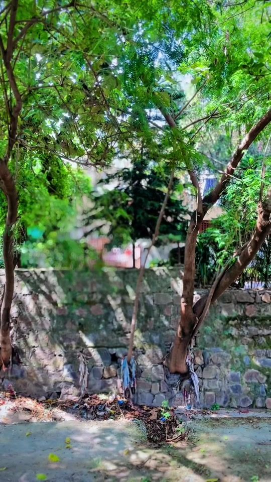 TikTok video thumbnail by sameerrajpoot795