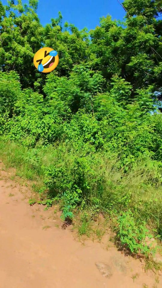 TikTok video thumbnail by maestro.1001