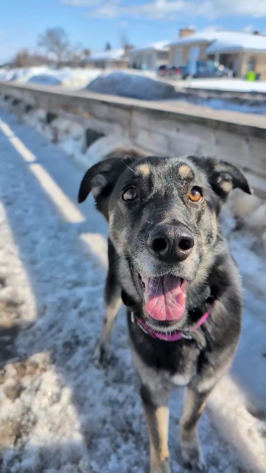 TikTok video thumbnail by athena.mutt