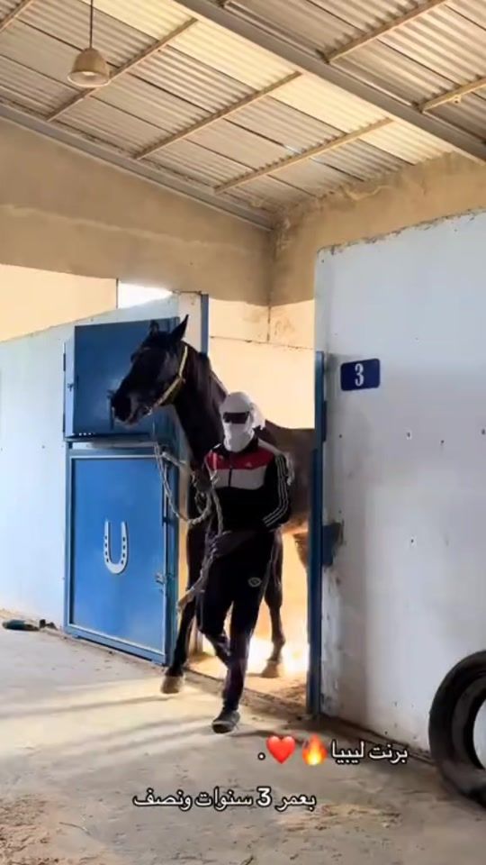 TikTok video thumbnail by user.alrais