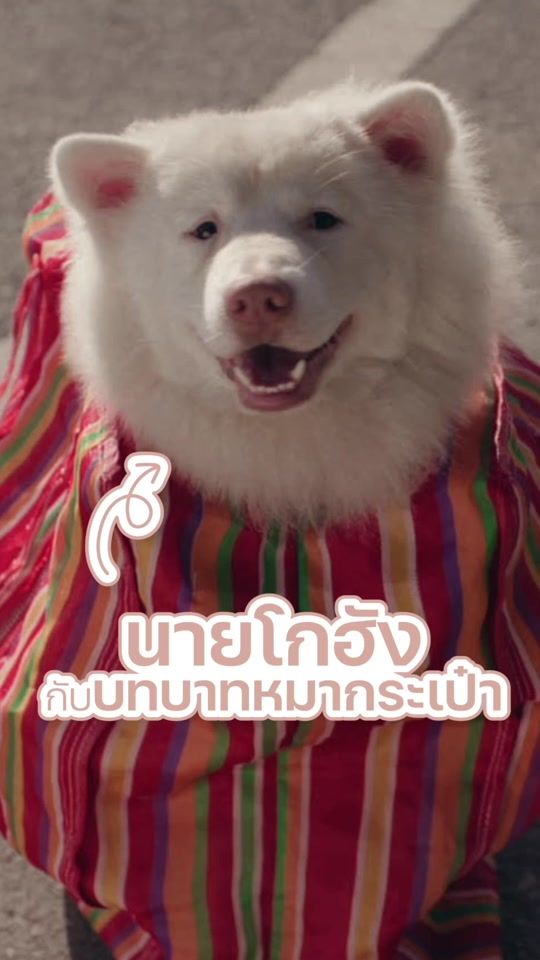 TikTok video thumbnail by dangstudio2021
