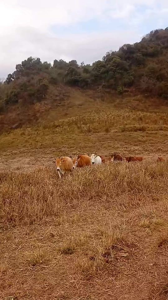 TikTok video thumbnail by ye.lor37