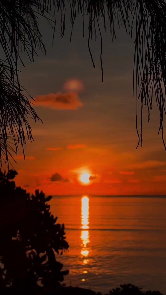 TikTok video thumbnail by vishaahu.mv