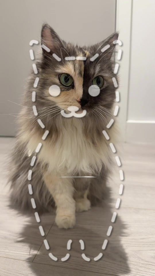 TikTok video thumbnail by geri.cat