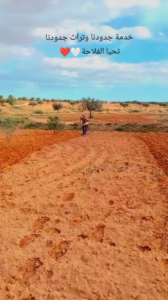 TikTok video thumbnail by benrbehmakrem