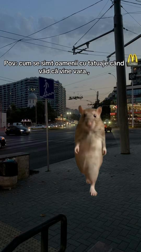 TikTok video thumbnail by alexei.ra0