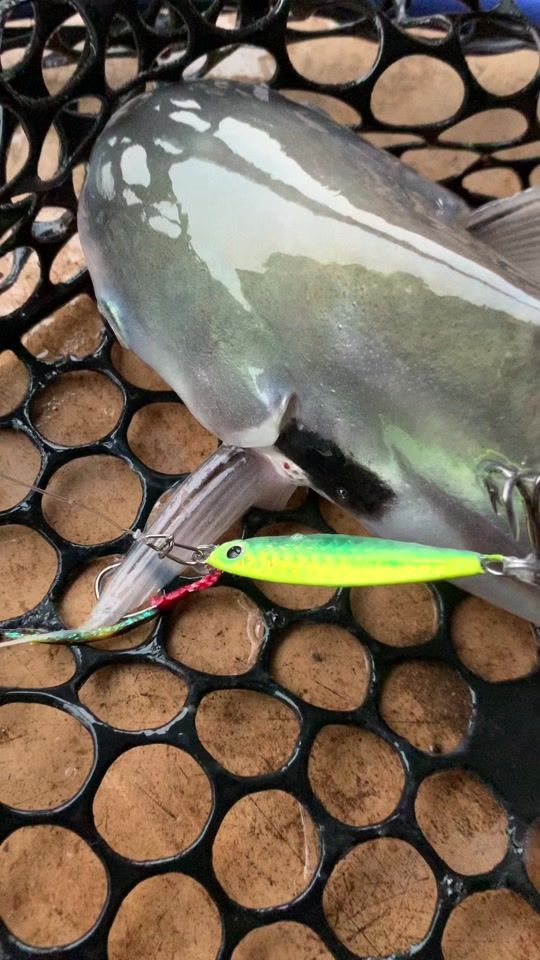 TikTok video thumbnail by darafishingkh99