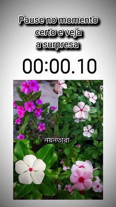 TikTok video thumbnail by sugar_a16