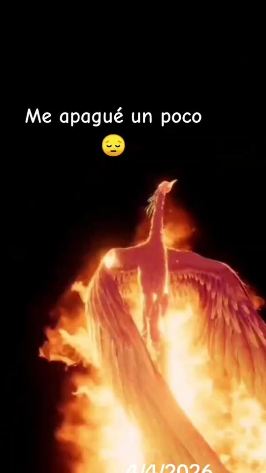TikTok video thumbnail by misaelalvarez50
