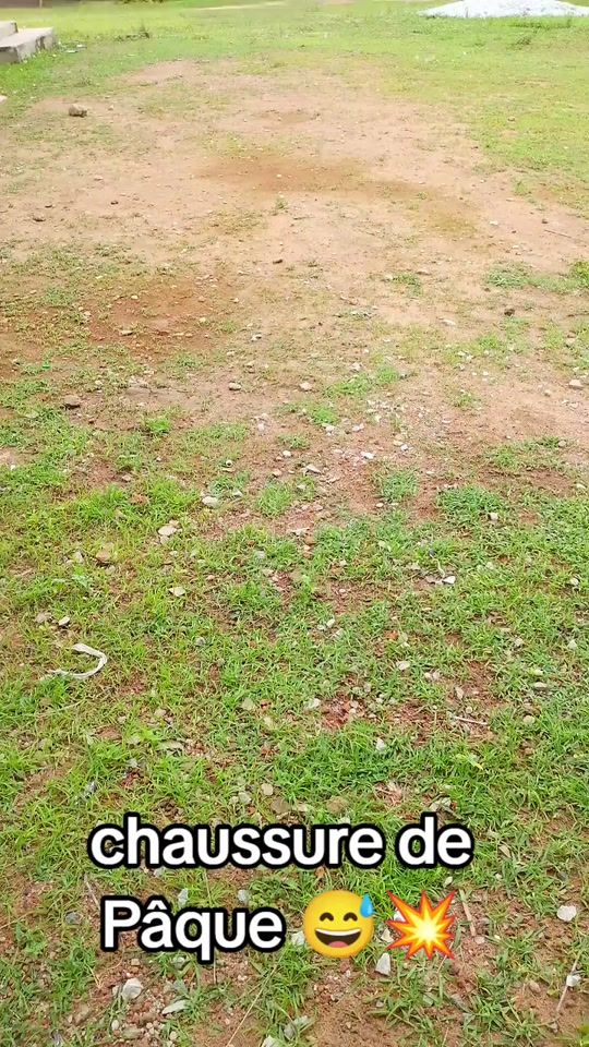 TikTok video thumbnail by lion.blanc254