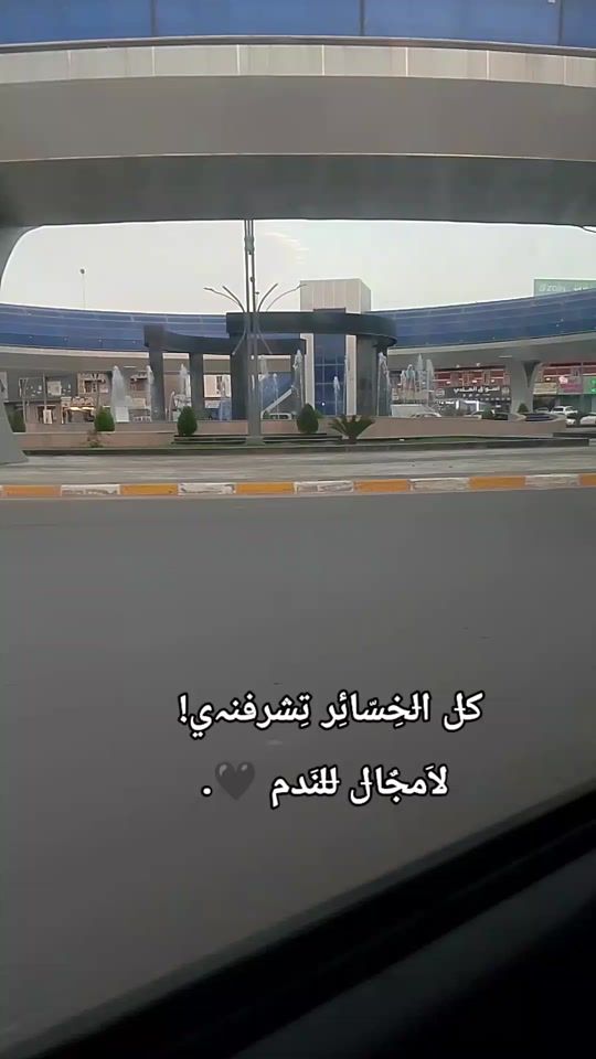 TikTok video thumbnail by zz_19955