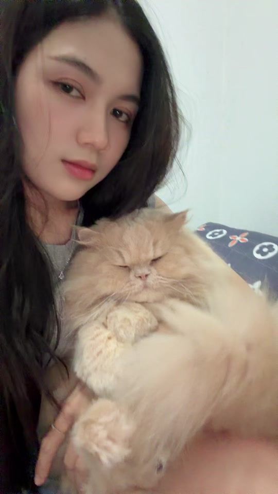 TikTok video thumbnail by daianadaii00