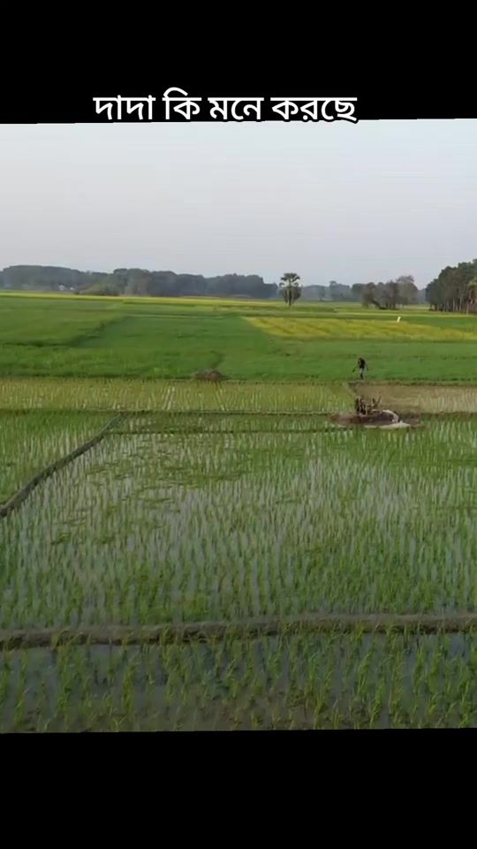 TikTok video thumbnail by smartboy123467
