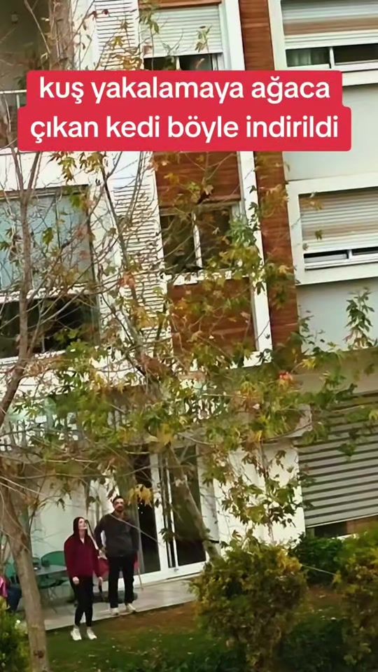 TikTok video thumbnail by patili.yorum